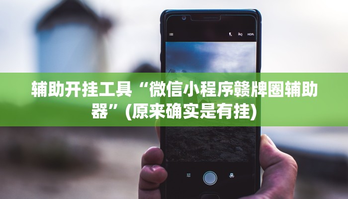 辅助开挂工具“微信小程序赣牌圈辅助器”(原来确实是有挂)