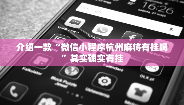 辅助神器“微乐四川麻将有挂吗!专业师傅带你一起了解(确实有挂)
