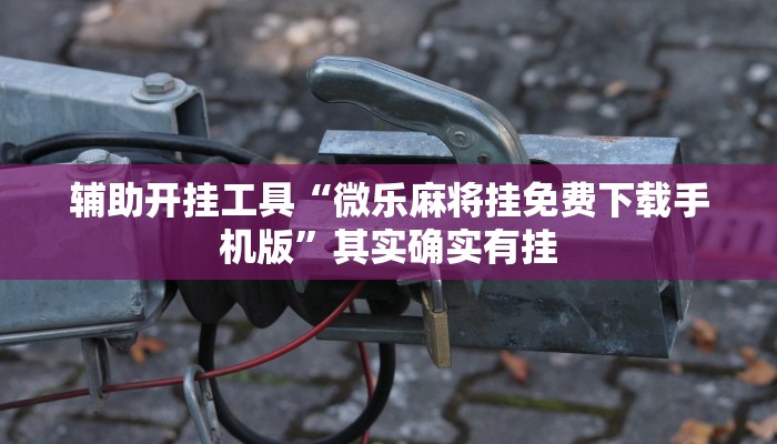 辅助开挂工具“微乐麻将挂免费下载手机版”其实确实有挂