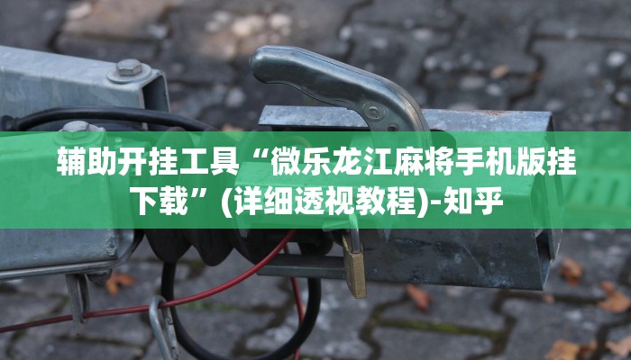 辅助开挂工具“微乐龙江麻将手机版挂下载”(详细透视教程)-知乎