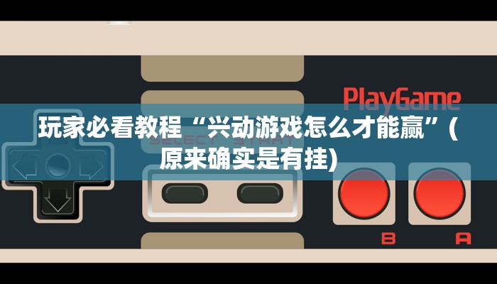 玩家必看教程“兴动游戏怎么才能赢”(原来确实是有挂)