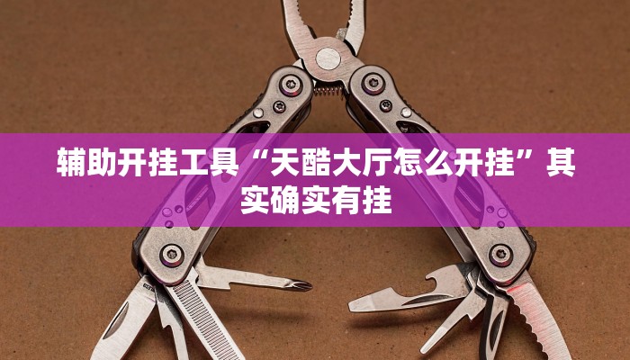 辅助开挂工具“天酷大厅怎么开挂”其实确实有挂