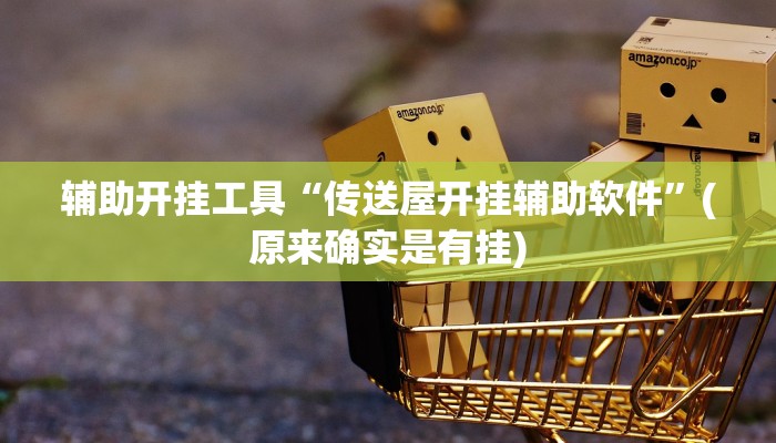 辅助开挂工具“传送屋开挂辅助软件”(原来确实是有挂)