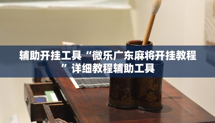 辅助开挂工具“微乐广东麻将开挂教程”详细教程辅助工具