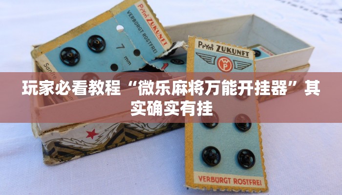 玩家必看教程“微乐麻将万能开挂器”其实确实有挂