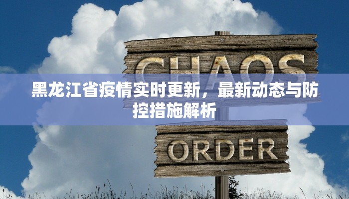 黑龙江省疫情实时更新，最新动态与防控措施解析