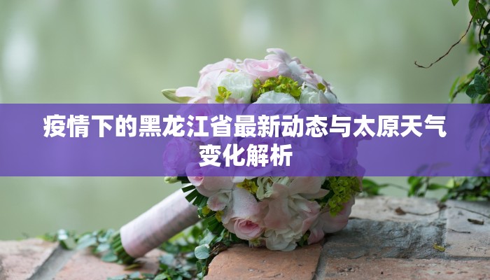 疫情下的黑龙江省最新动态与太原天气变化解析