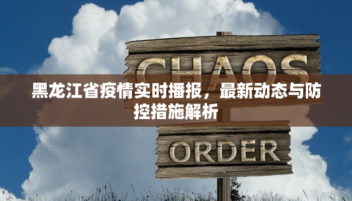 黑龙江省疫情实时播报,最新动态与防控措施解析 黑龙江省疫情实时播报,最新动态与防控措施解析