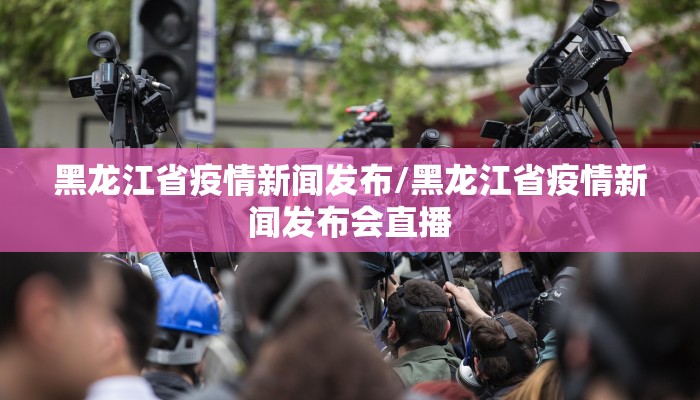 黑龙江省疫情新闻发布/黑龙江省疫情新闻发布会直播
