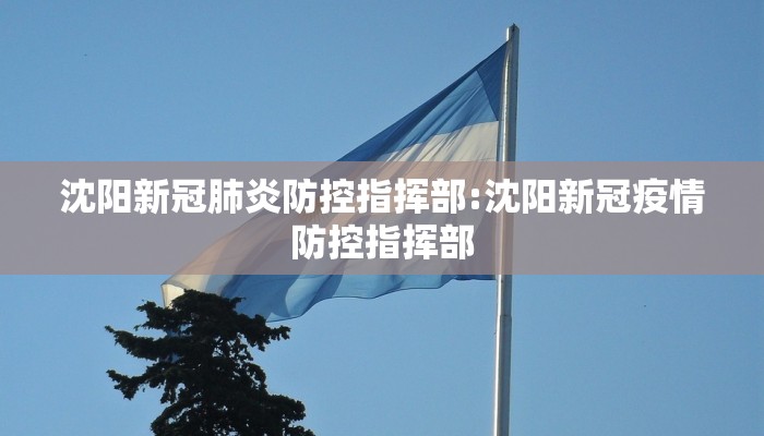 沈阳新冠肺炎防控指挥部:沈阳新冠疫情防控指挥部