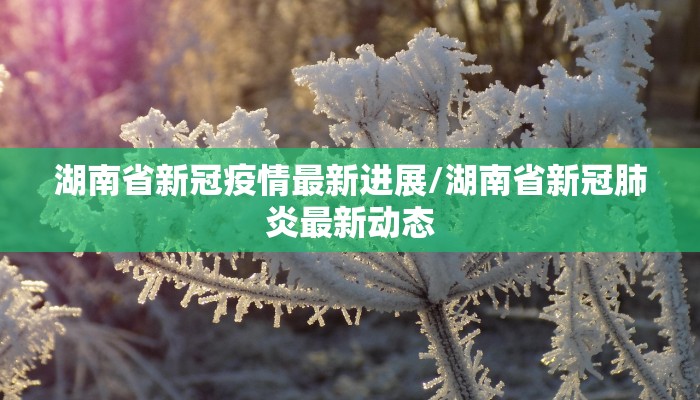 湖南省新冠疫情最新进展/湖南省新冠肺炎最新动态
