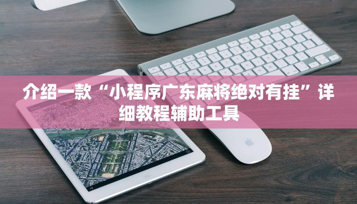 介绍一款“小程序广东麻将绝对有挂”详细教程辅助工具