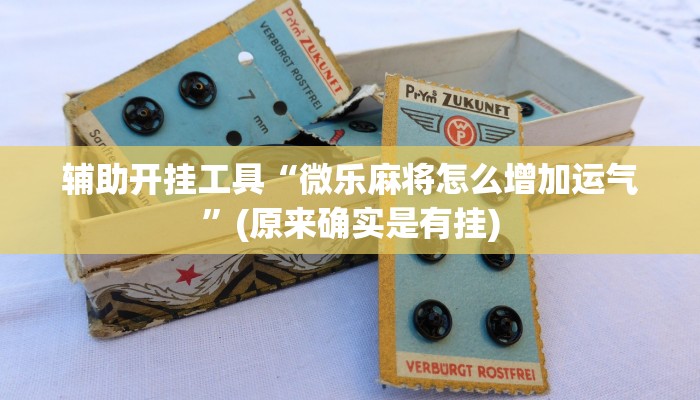 辅助开挂工具“微乐麻将怎么增加运气”(原来确实是有挂)