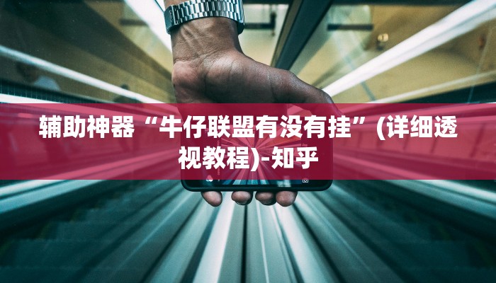 辅助神器“牛仔联盟有没有挂”(详细透视教程)-知乎