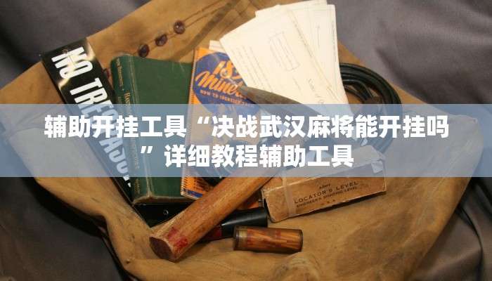 辅助开挂工具“决战武汉麻将能开挂吗”详细教程辅助工具