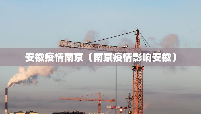 安徽疫情南京（南京疫情影响安徽）