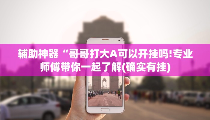 辅助神器“哥哥打大A可以开挂吗!专业师傅带你一起了解(确实有挂)