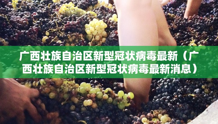 广西壮族自治区新型冠状病毒最新（广西壮族自治区新型冠状病毒最新消息）