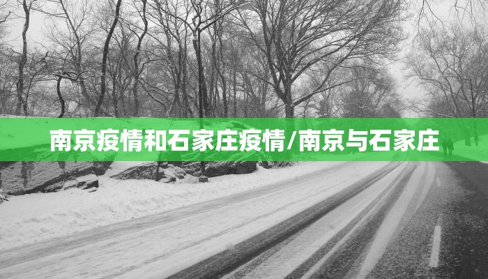南京疫情和石家庄疫情/南京与石家庄