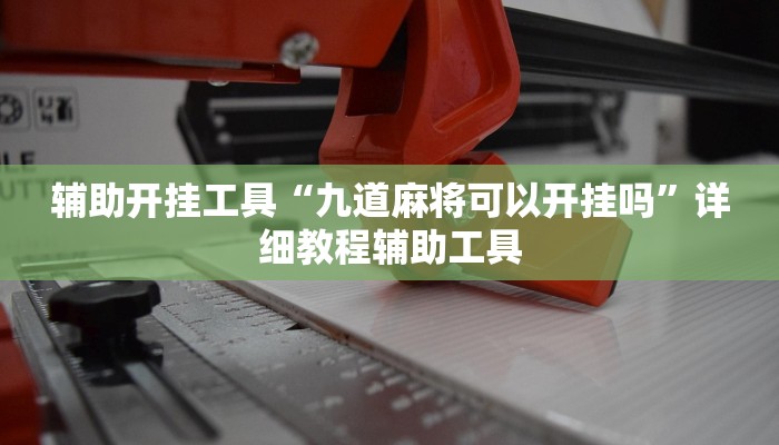 辅助开挂工具“九道麻将可以开挂吗”详细教程辅助工具 辅助开挂工具“九道麻将可以开挂吗”详细教程辅助工具