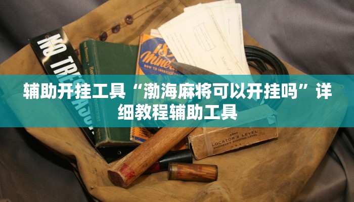 辅助开挂工具“渤海麻将可以开挂吗”详细教程辅助工具