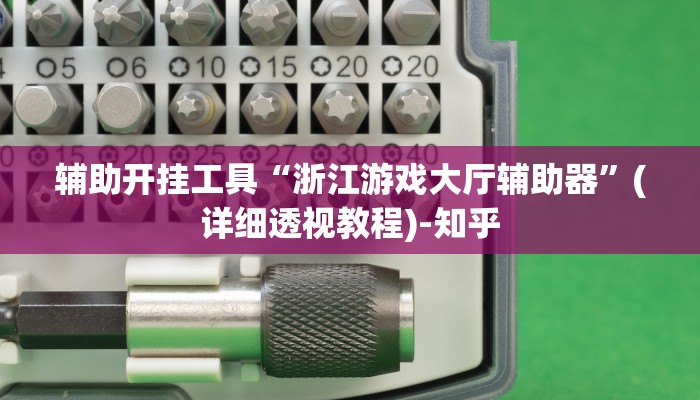 辅助开挂工具“浙江游戏大厅辅助器”(详细透视教程)-知乎