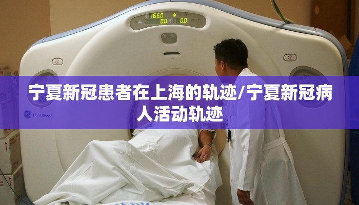 宁夏新冠患者在上海的轨迹/宁夏新冠病人活动轨迹