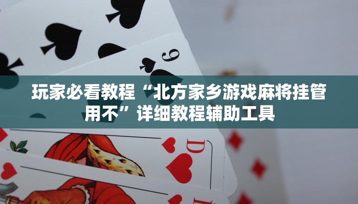 玩家必看教程“北方家乡游戏麻将挂管用不”详细教程辅助工具
