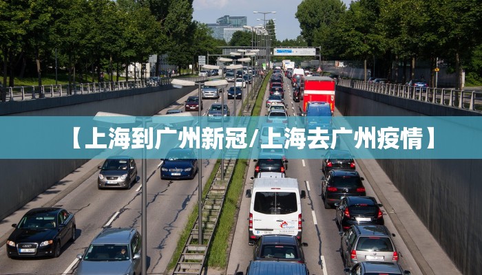 【上海到广州新冠/上海去广州疫情】