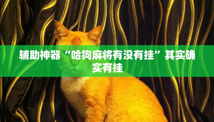 辅助神器“哈狗麻将有没有挂”其实确实有挂 辅助神器“哈狗麻将有没有挂”其实确实有挂