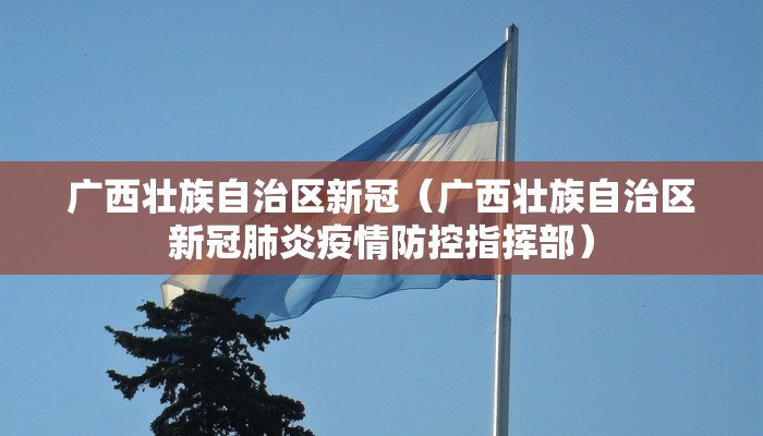 广西壮族自治区新冠(广西壮族自治区新冠肺炎疫情防控指挥部) 广西壮族自治区新冠(广西壮族自治区新冠肺炎疫情防控指挥部)
