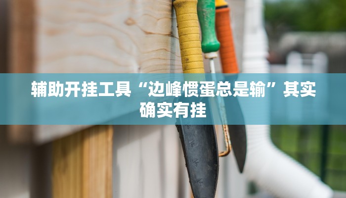 辅助开挂工具“边峰惯蛋总是输”其实确实有挂