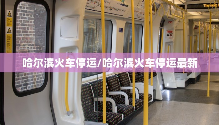 哈尔滨火车停运/哈尔滨火车停运最新