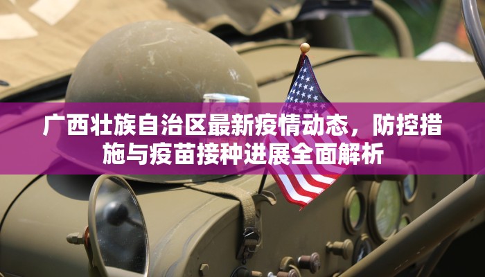 广西壮族自治区最新疫情动态，防控措施与疫苗接种进展全面解析