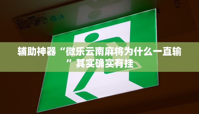 辅助神器“微乐云南麻将为什么一直输”其实确实有挂
