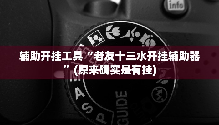 辅助开挂工具“老友十三水开挂辅助器”(原来确实是有挂)