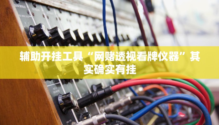辅助开挂工具“网赌透视看牌仪器”其实确实有挂