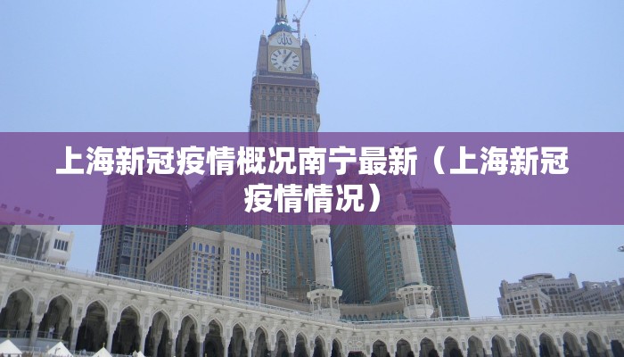 上海新冠疫情概况南宁最新（上海新冠疫情情况）