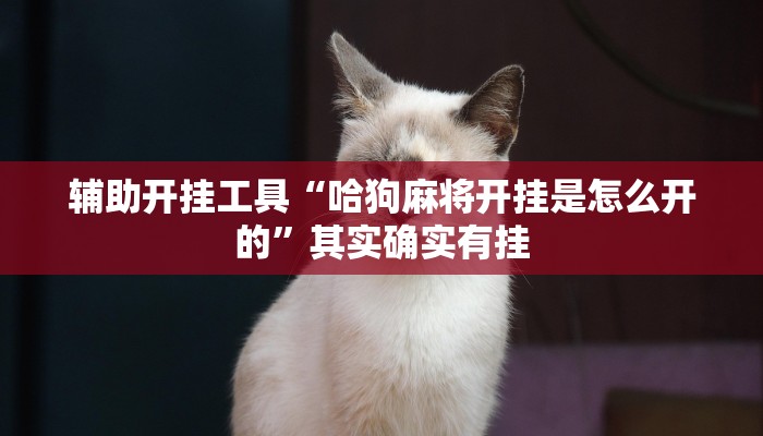 辅助开挂工具“哈狗麻将开挂是怎么开的”其实确实有挂 辅助开挂工具“哈狗麻将开挂是怎么开的”其实确实有挂