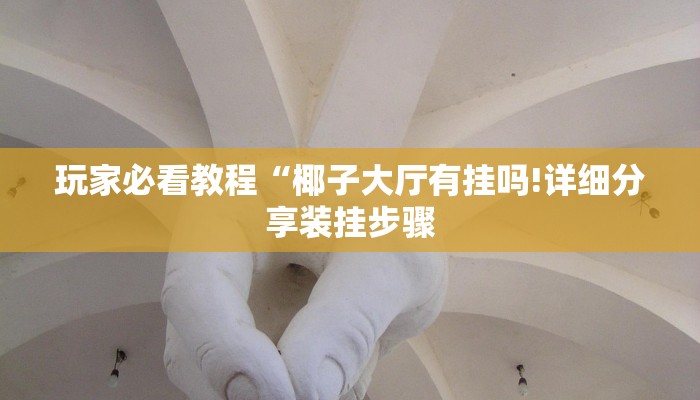 玩家必看教程“椰子大厅有挂吗!详细分享装挂步骤