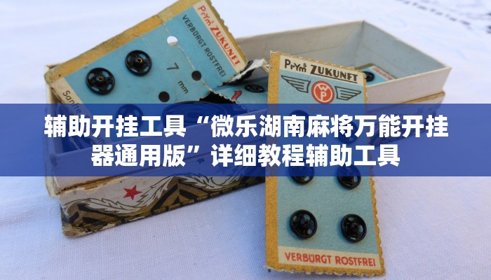 辅助开挂工具“微乐湖南麻将万能开挂器通用版”详细教程辅助工具