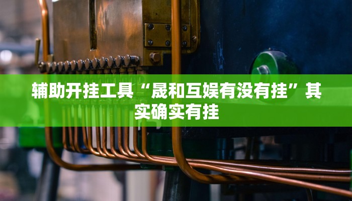 辅助开挂工具“晟和互娱有没有挂”其实确实有挂