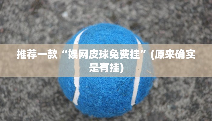 推荐一款“娱网皮球免费挂”(原来确实是有挂)