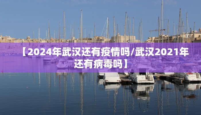 【2024年武汉还有疫情吗/武汉2021年还有病毒吗】