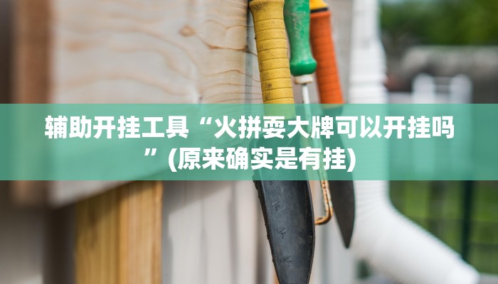 辅助开挂工具“火拼耍大牌可以开挂吗”(原来确实是有挂)
