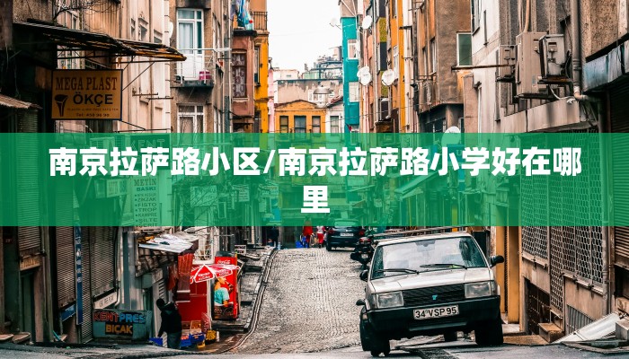 南京拉萨路小区/南京拉萨路小学好在哪里
