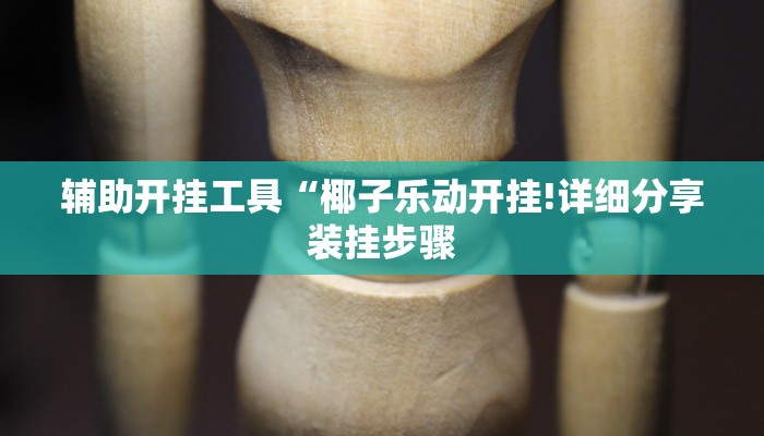 辅助开挂工具“椰子乐动开挂!详细分享装挂步骤