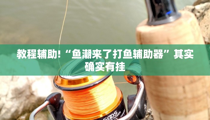 教程辅助!“鱼潮来了打鱼辅助器”其实确实有挂