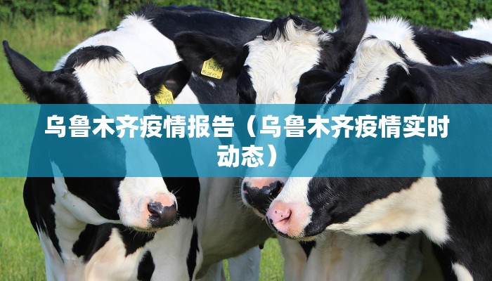 乌鲁木齐疫情报告（乌鲁木齐疫情实时动态）