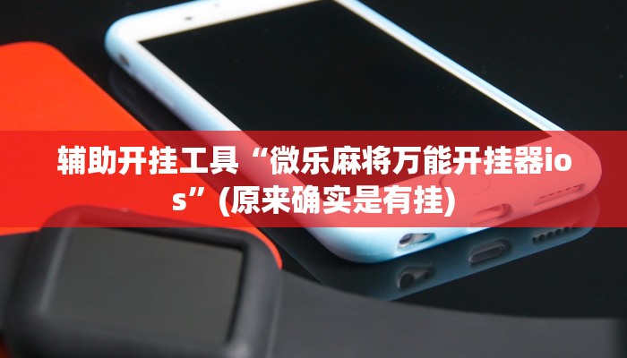 辅助开挂工具“微乐麻将万能开挂器ios”(原来确实是有挂)